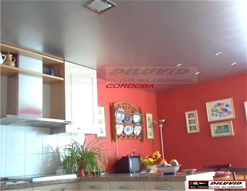 Techo-de-aluminio-cocina-inox